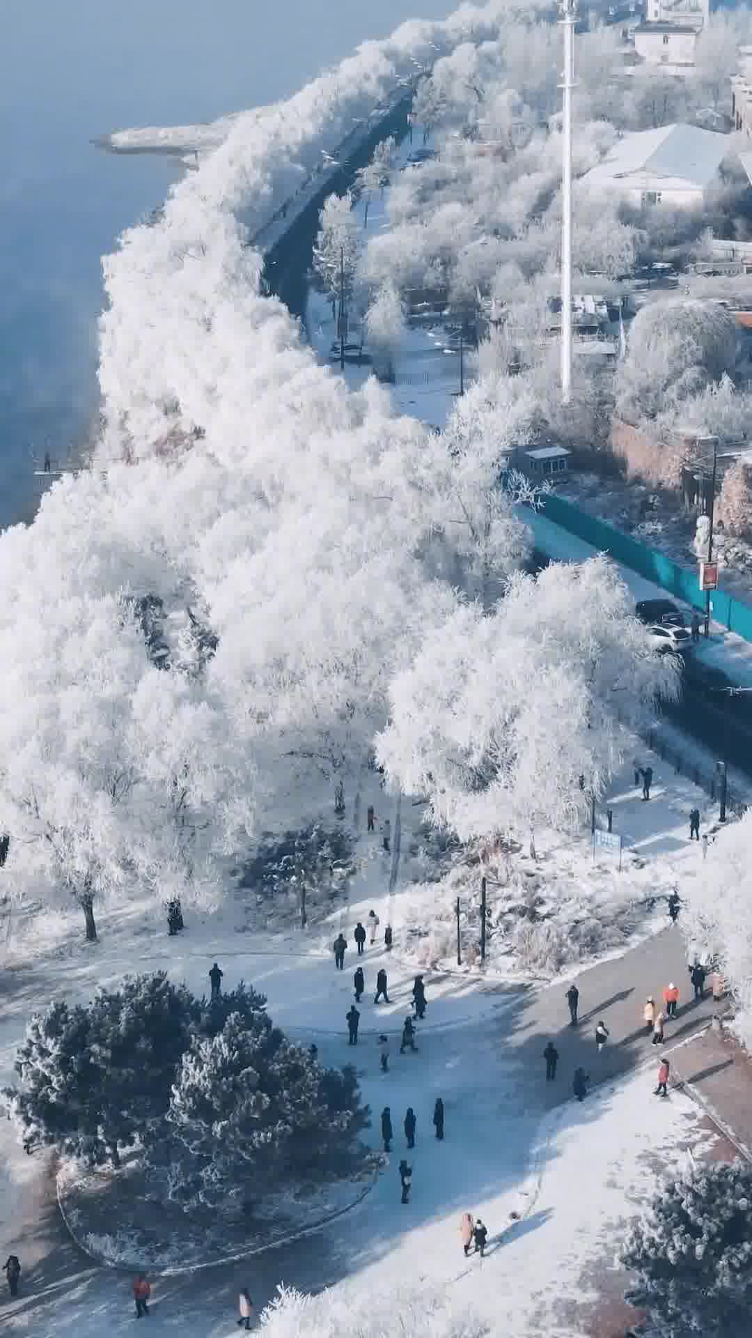 吉林,梦想之城的无限可能