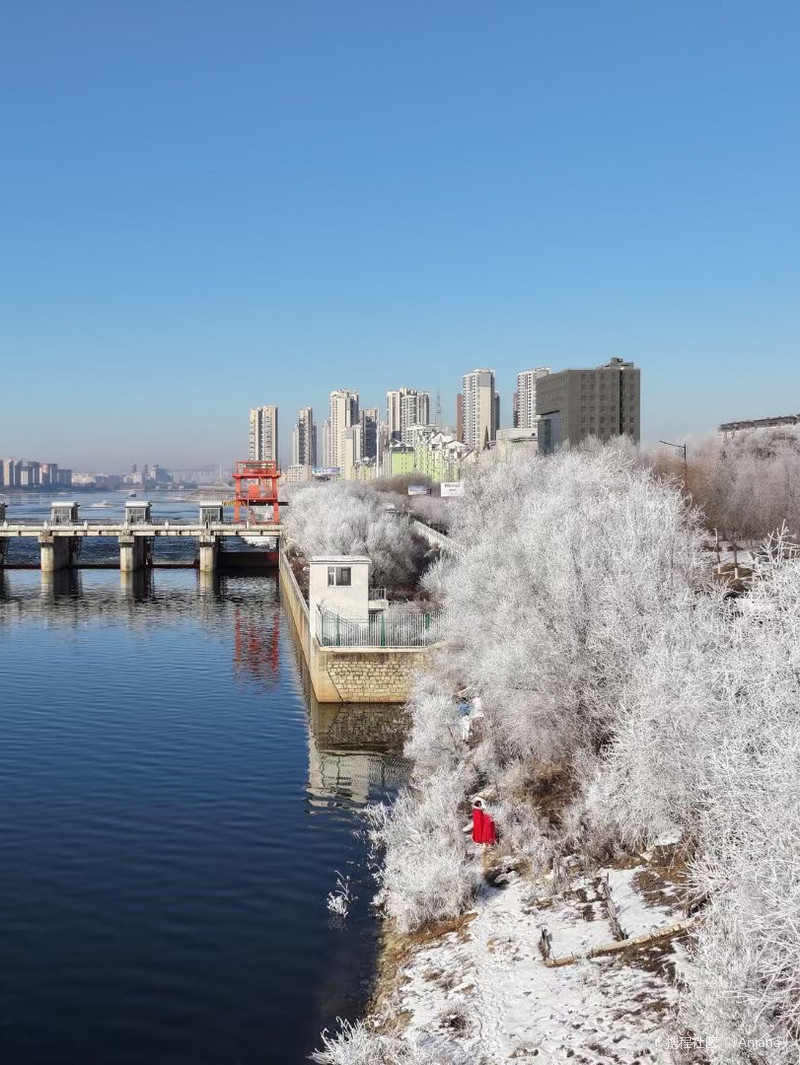 振兴东北,吉林,东北老工业基地的破茧重生之路