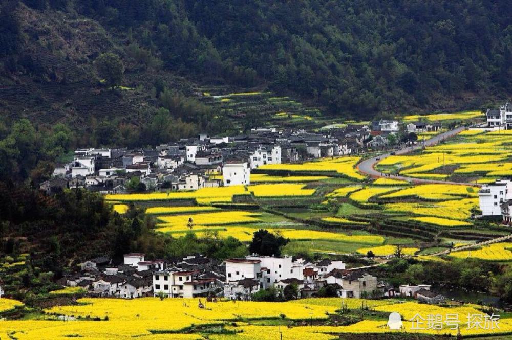 江西秘境,江西小巷里的隐藏特色小店邂逅记