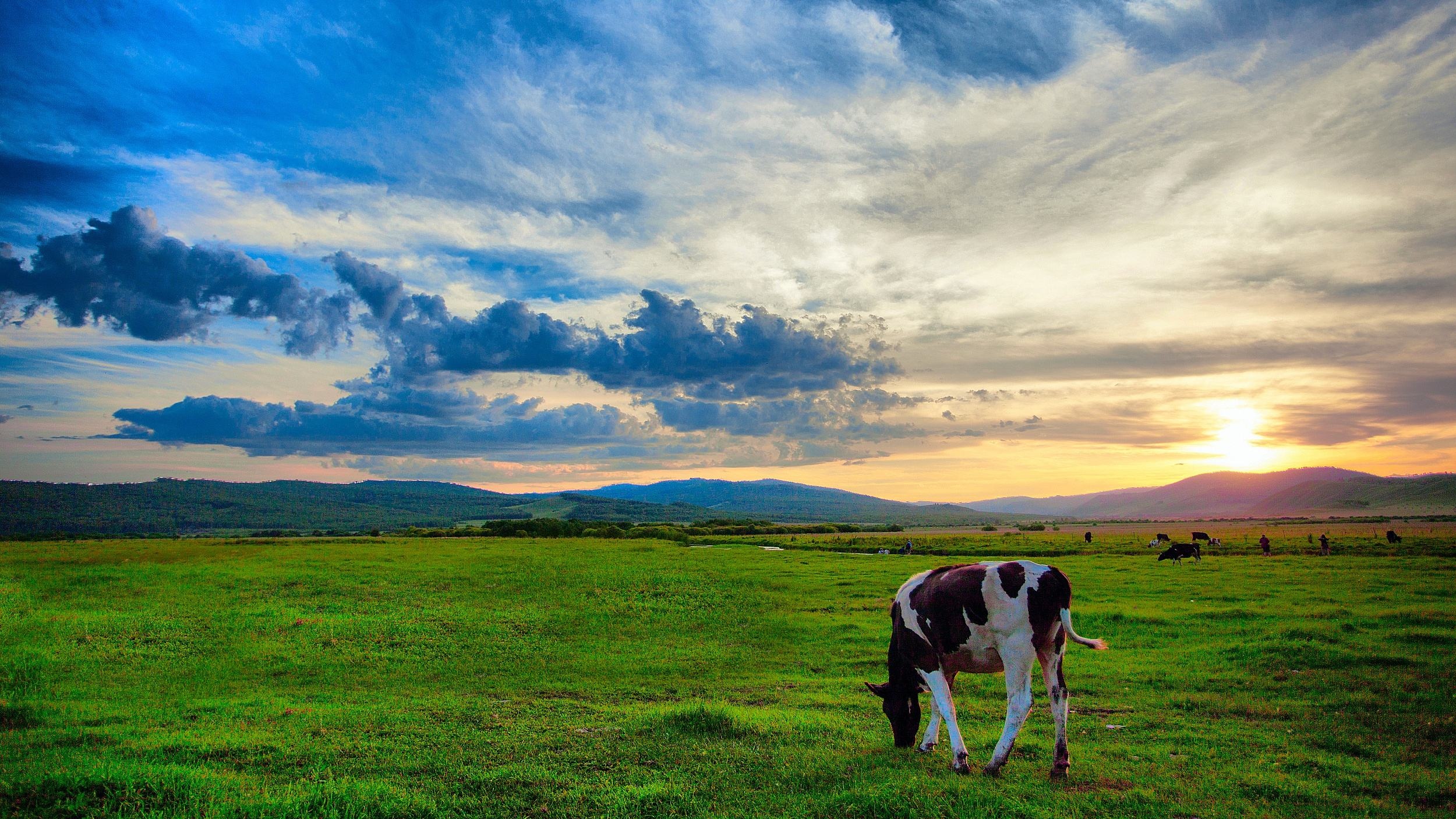 呼伦贝尔深度游，探寻小巷中的独特风情